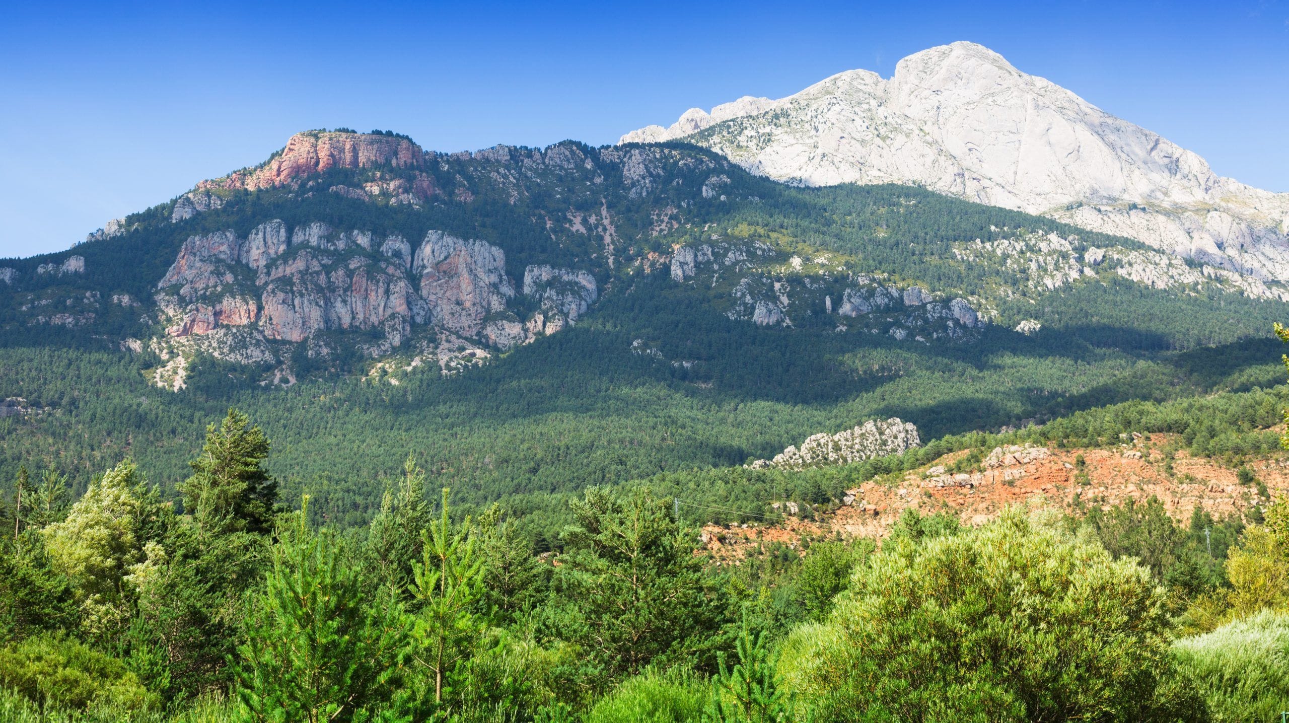 Pirineus, Espanya